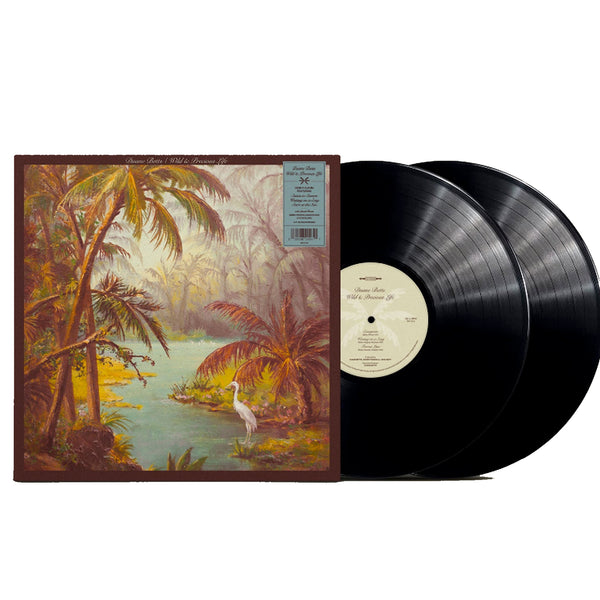 Duane Betts – Wild and Precious life Black LP