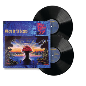 ALLMAN BROTHERS BAND: WHERE IT ALL BEGINS MUSIC On Vinyl Version